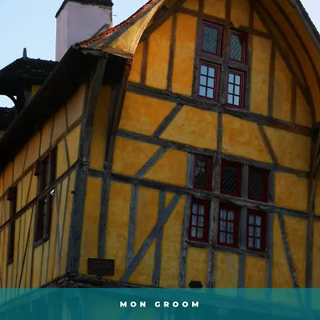 Le Petit Nizier - Centre Historique Tout Confort - Mon Groom * Troyes